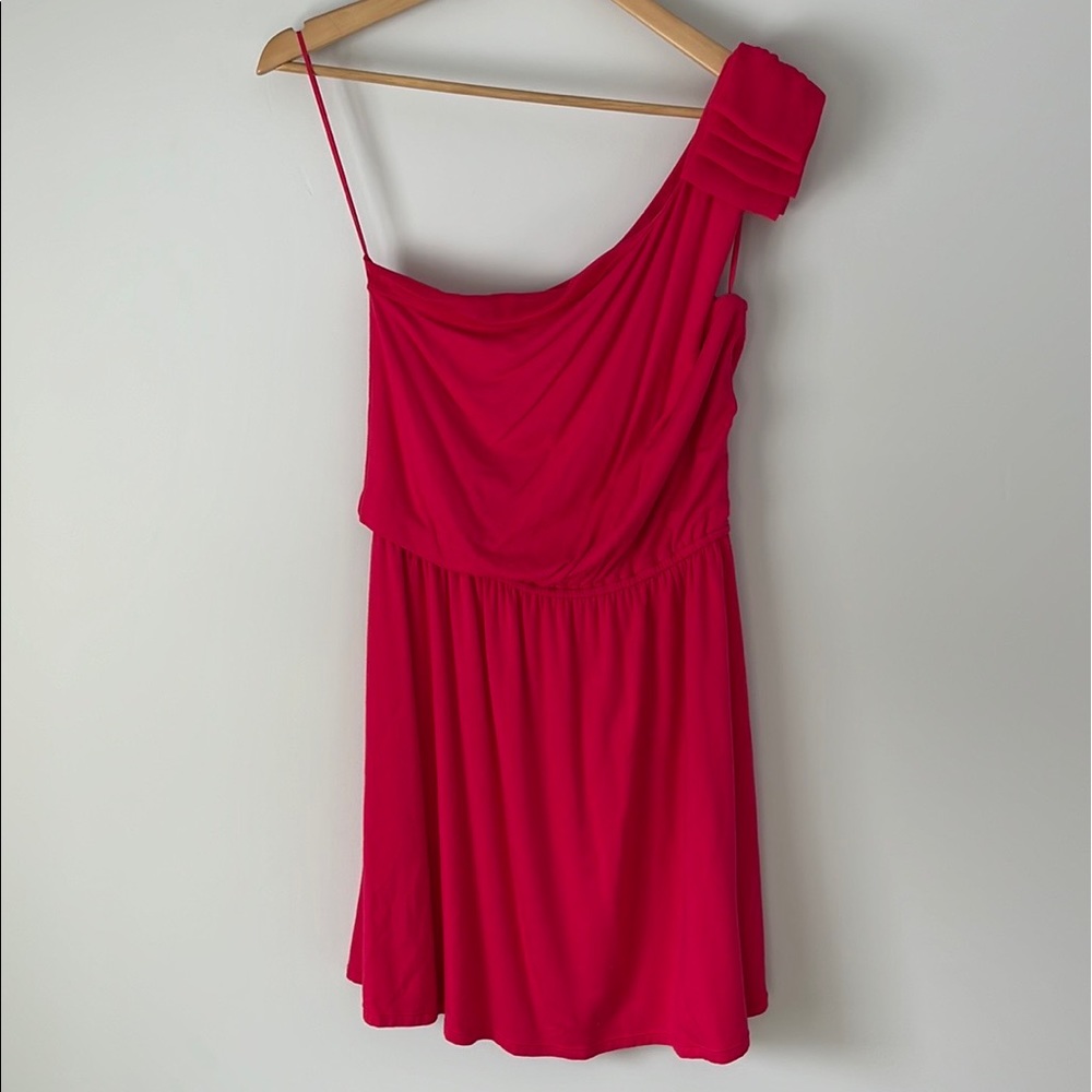 Express one shoulder dress